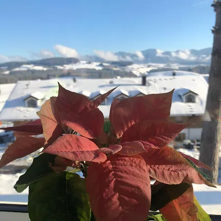 Am Hang Mit Alpenblick אוברוייטה