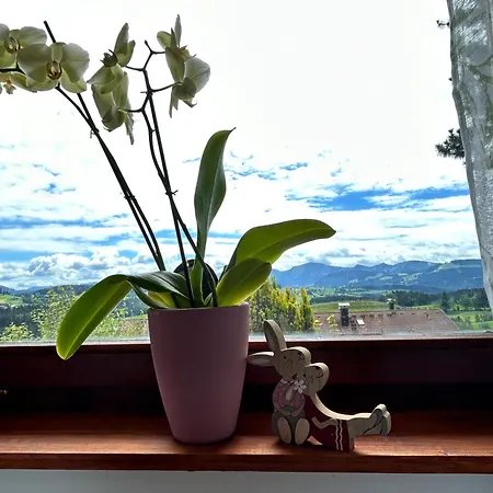 Apartment Am Hang Mit Alpenblick